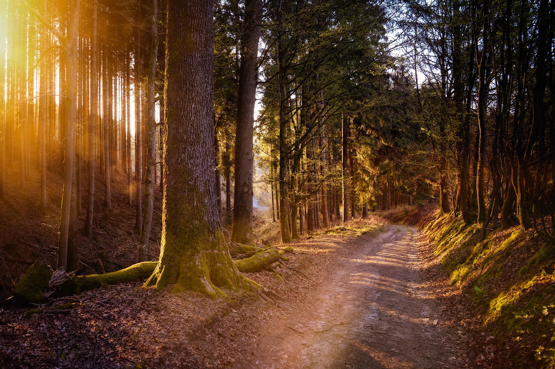 The Time I Stayed Silent